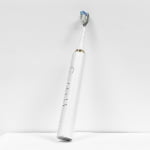 D180 High Frequency Sonic Toothbrush