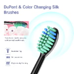 D12 High Frequency Sonic Toothbrush